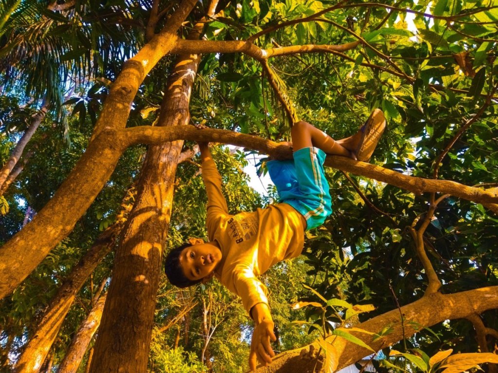 child hanging upside down in a tree